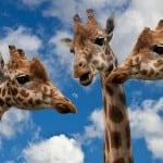 Social Network Facebook